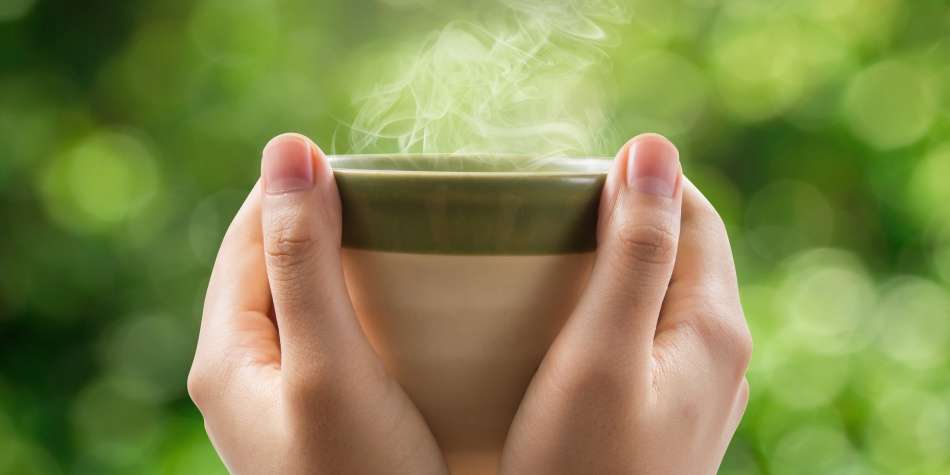 ¿Té contra el Alzheimer?