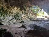 Los huesos de elefantes enanos revelan que el “hobbit” de Flores no cazaba ni usaba el fuego