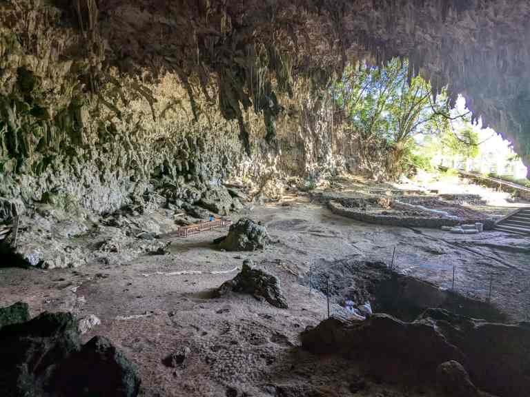 Los huesos de elefantes enanos revelan que el “hobbit” de Flores no cazaba ni usaba el fuego