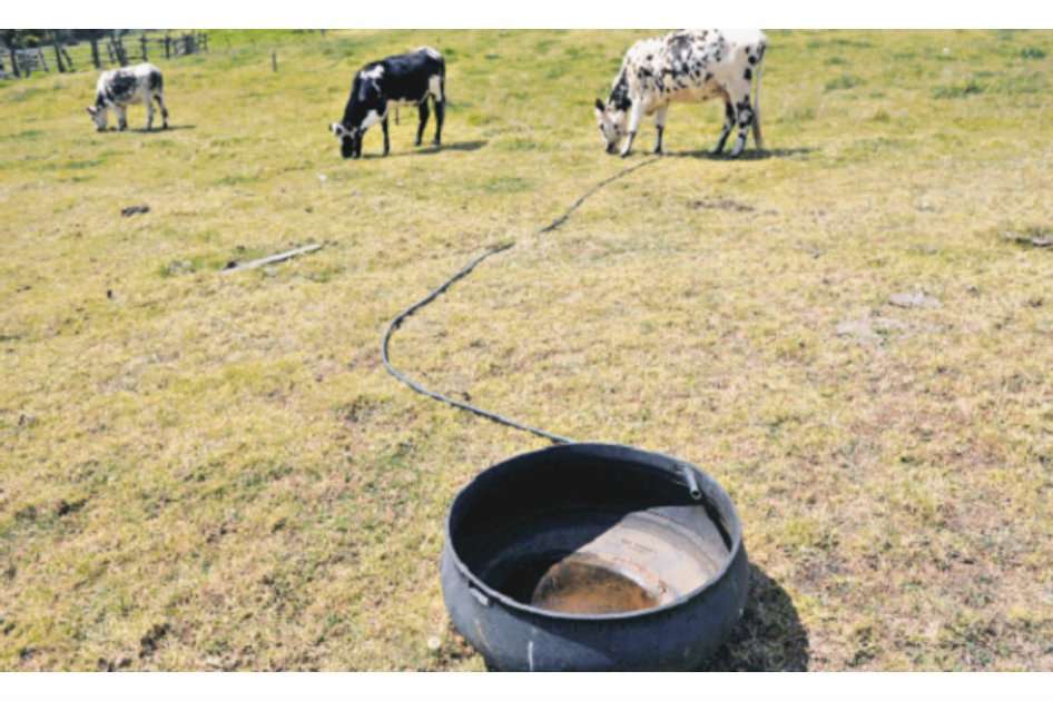 El fenómeno de El Niño pronosticado para 2015 podría afectar la producción y los ingresos del sector. /Archivo