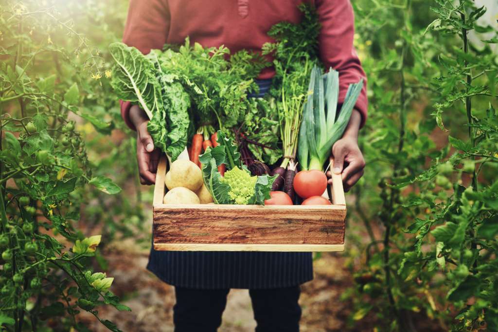 Tendencias gastronómicas 2024