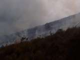 Científicos piden protección de los páramos en Boyacá