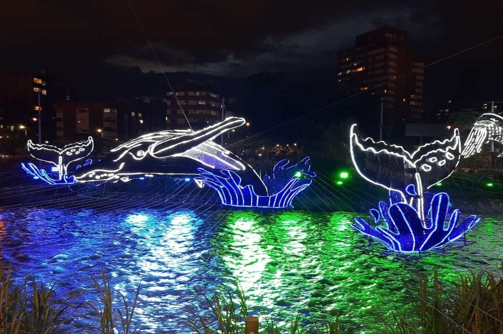 El alumbrado estará en la ciudad desde el 5 de diciembre hasta el próximo 11 de enero de 2021. / Foto de Epm.