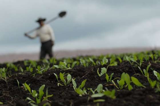 “Como humanidad usamos menos del 0,25 % de los alimentos disponibles en nuestra despensa planetaria”: Julián López de Mesa Samudio.