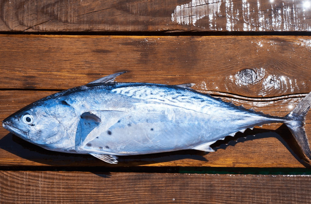 Los fármacos no son el único tratamiento para estas afecciones psicológicas. El omega 3 contiene componentes que ayudan a tratarlas y a prevenirlas.