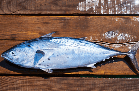 Conoce el efecto de consumir Omega 3
