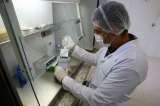 El zika sigue siendo una emergencia sanitaria de alcance internacional