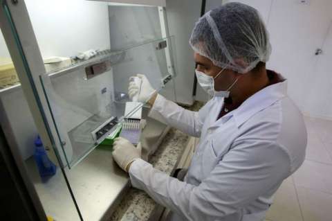 El zika sigue siendo una emergencia sanitaria de alcance internacional