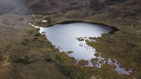 Tras cuatro años cerrado, reabren el Santuario de Fauna y Flora de Iguaque