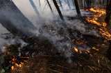 Campesino murió mientras ayudaba a controlar un incendio forestal en Ibagué