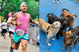 Atleta correrá de Bogotá a Medellín para ayudar a perritos discapacitados