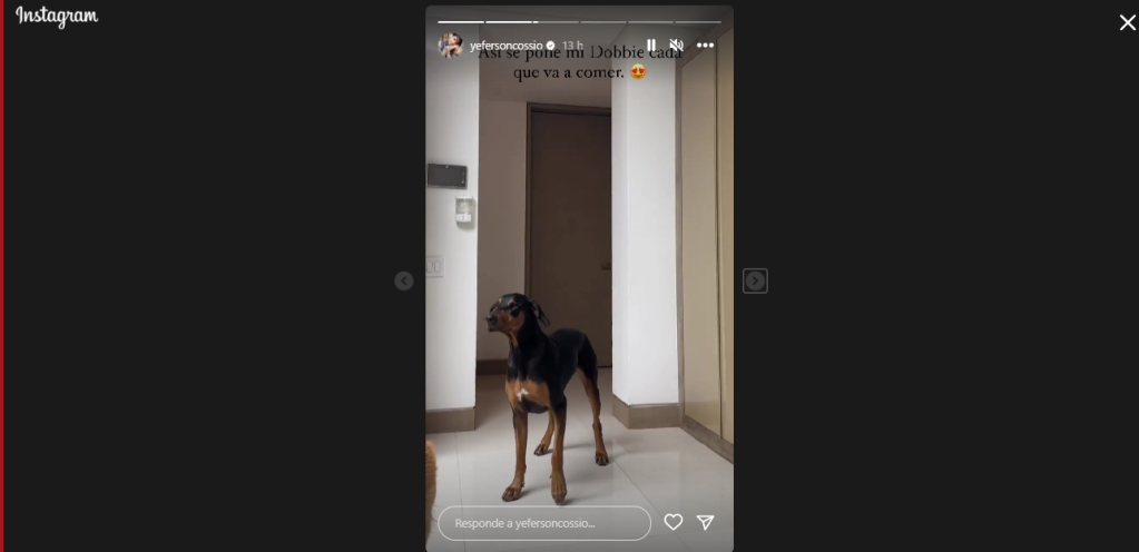 Yeferson Cossio, molesto por quienes piden que le corte la orejas a su perro