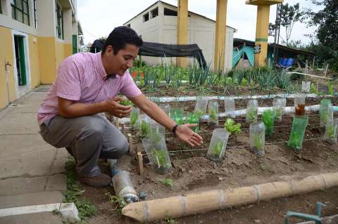 Las clases de cálculo, en la huerta