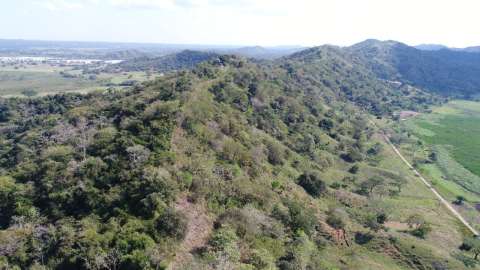 Protección de humedales en Montería, el camino para convertirse en “biodiverciudad”