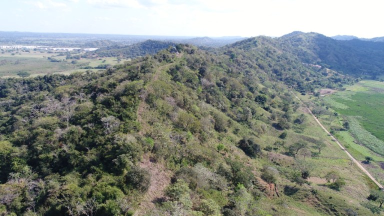 Protección de humedales en Montería, el camino para convertirse en “biodiverciudad”