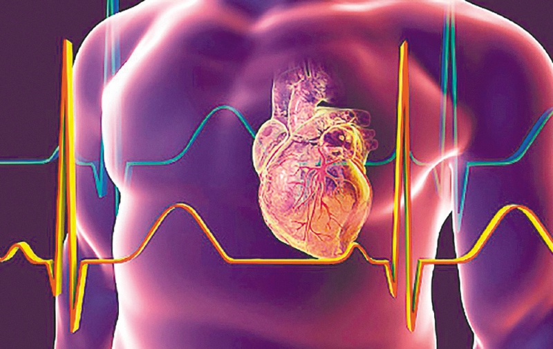Según un estudio reciente, las personas receptoras de corazón donados por pacientes con muerte circulatoria, tuvieron una tasa de supervivencia del 94 %.