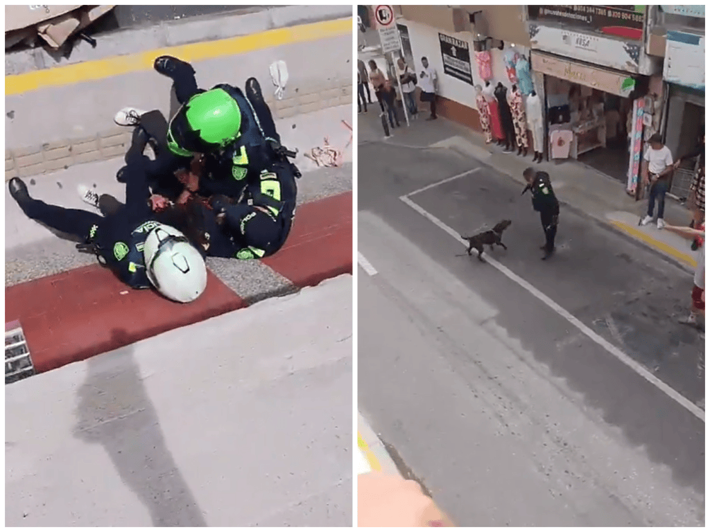 muerte de perro Rionegro