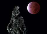 Las increíbles fotos del último eclipse lunar del 2021. Así se vio en el mundo