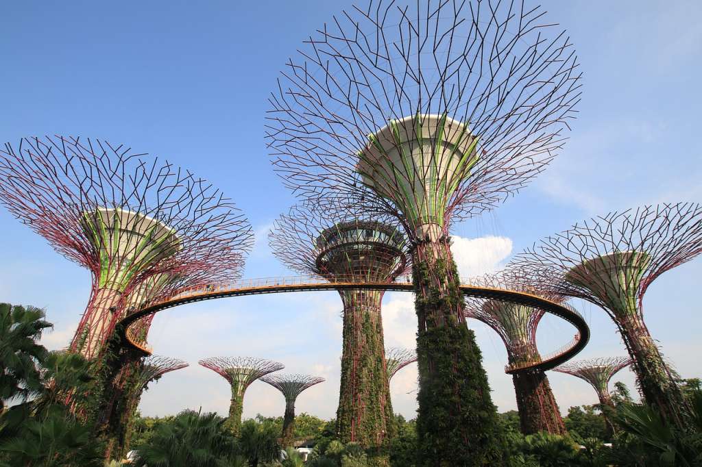 El Jardín Botánico de Singapur, cuenta con más de 150 años de historia