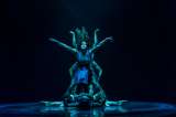 Llega la danza australiana: cuerpos más allá de los límites