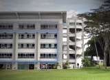 Consejo de Estado ratificó la elección del rector de la Universidad Tecnológica de Pereira