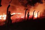 Incendios en Colombia han consumido este año 120.000 hectáreas de bosques
