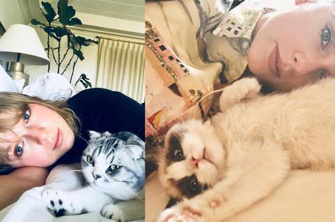 ¿Por qué los gatos de Taylor Swift son protagonistas en las elecciones de EE.UU.?