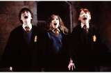 La serie de Harry Potter busca a sus tres protagonistas con un “casting inclusivo”