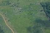 Cada día se construyen cerca de 4 kilómetros de vías ilegales en la Amazonia colombiana