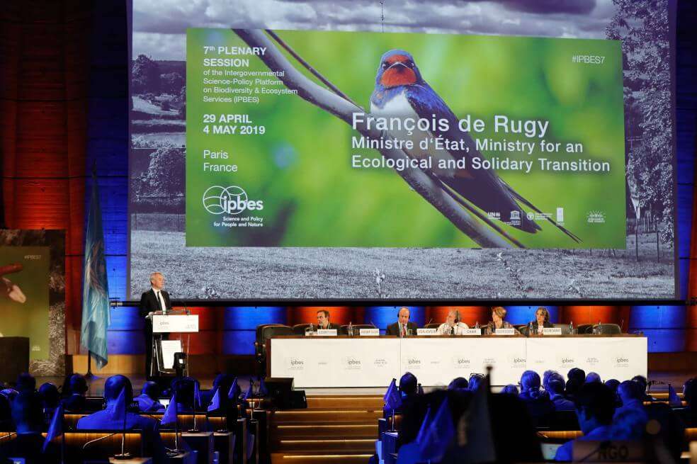 Conferencia sobre biodiversidad en Paris durante la presentación del informe mundial. / AFP