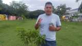 Polémica por traslado de árboles para Feria de Cali: llevaban 2 años reforestando