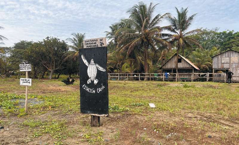 La propuesta plantea que el Santuario deje ser solo de fauna e incluya la flora en su nombre. / WWF Colombia - Fermín González