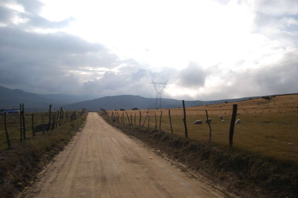 No se delimita para conservar el páramo, sino para cortarles territorios a los ecosistemas protegidos y permitir a las transnacionales del oro explotar los títulos mineros otorgados. / Daniel Ferreira