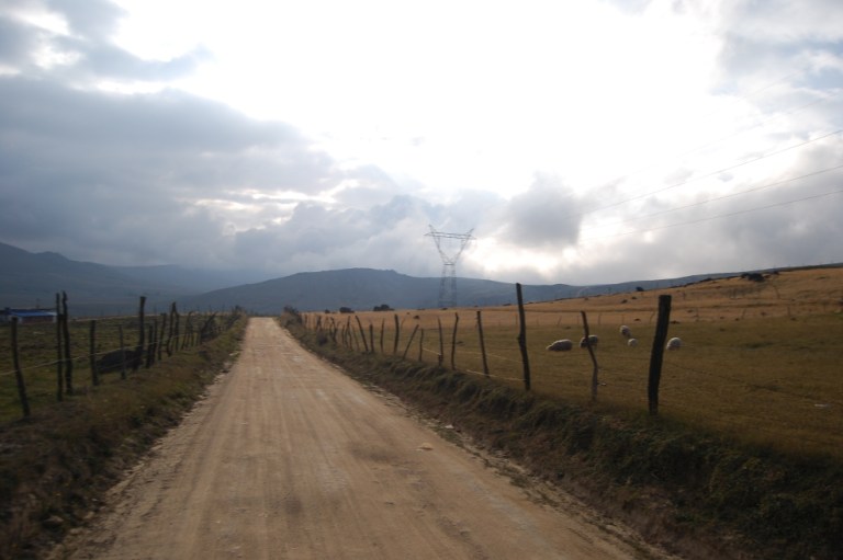 Sobre Santurbán: el páramo, desesperadamente
