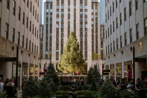 Empezó la temporada navideña en Nueva York con el árbol del Rockefeller Center