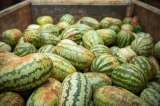 Una guía para empezar a alimentarse de manera sostenible