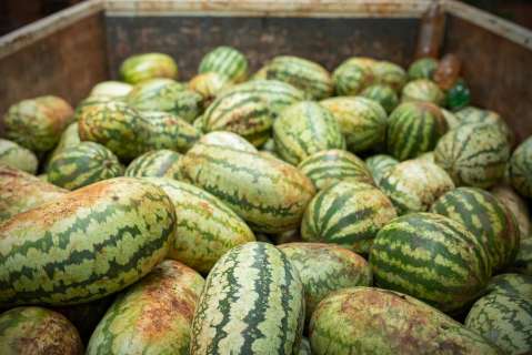 Una guía para empezar a alimentarse de manera sostenible