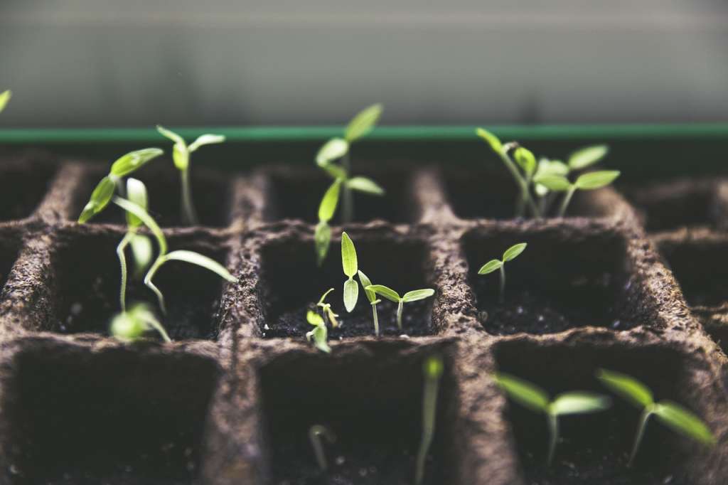 Las huertas urbanas son un ejemplo clave de economía circular, ya que aprovechan residuos orgánicos para fertilizar el suelo, optimizan el uso del agua y reducen la dependencia de insumos externos, fomentando un modelo de producción más sostenible y autosuficiente.