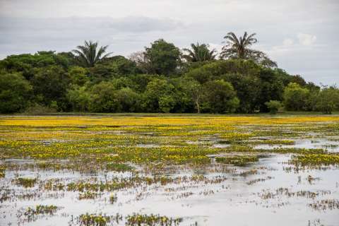 A conservar el agua de la Orinoquía