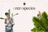 La botánica que colecta helechos para la ciencia del futuro | Entrespecies