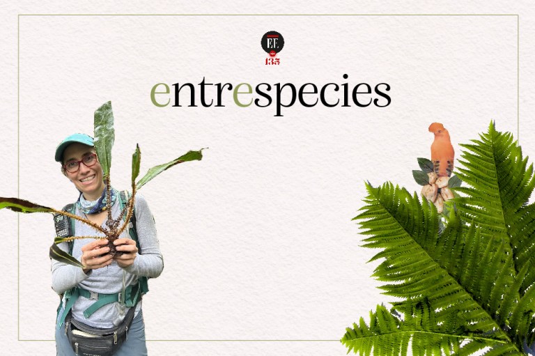 La botánica que colecta helechos para la ciencia del futuro | Entrespecies
