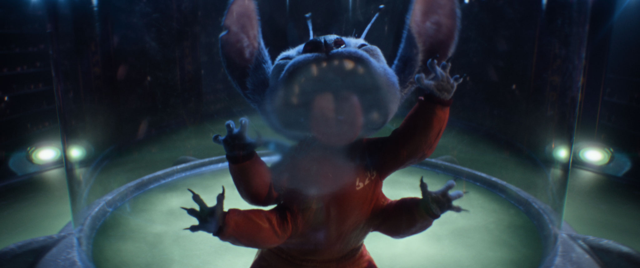 Lilo & Stich live action.