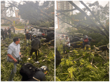 Fuertes lluvias y granizada colapsaron la movilidad en Medellín