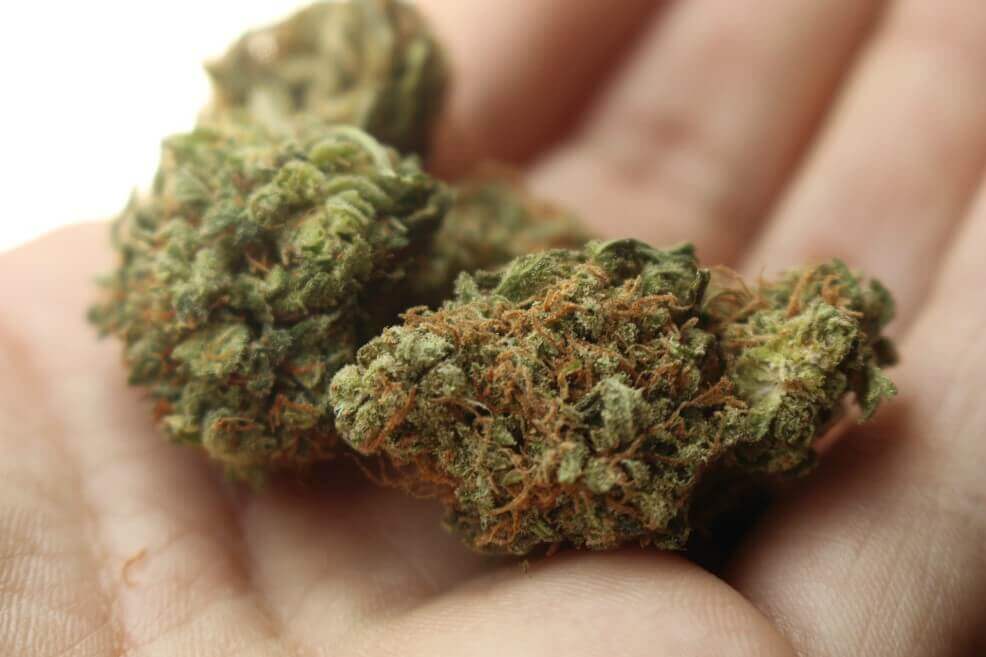 Una muestra de marihuana. / Pixabay