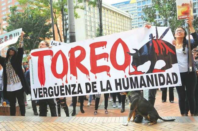 Las temporadas taurinas en Bogotá, por lo general, están acompañadas de marchas que se oponen a esta práctica en los escenarios de la capital. / Cristian Garavito - El Espectador