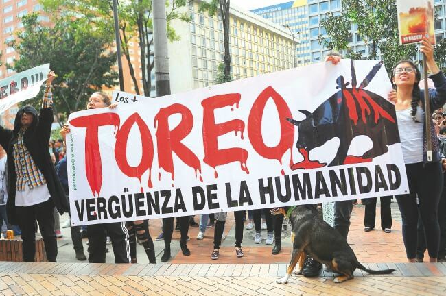 La dilatada discusión de la ley antitaurina