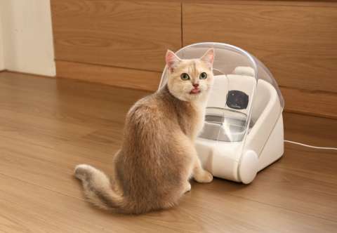 Lanzan el primer comedero para gatos con reconocimiento facial en el mundo