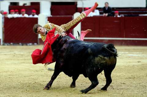 Torero español recibió cornada al cierre de la temporada taurina de Bogotá