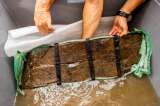 Recuperan fragmento de un barco fenicio hundido hace 2.600 años