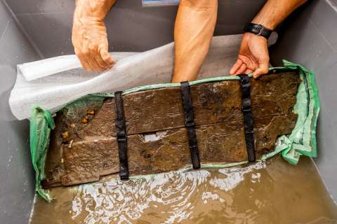 Recuperan fragmento de un barco fenicio hundido hace 2.600 años